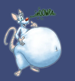 anthro belly belly_grab big_belly burping fur half-closed_eyes huge_belly male morbidly_obese morbidly_obese_anthro morbidly_obese_male narrowed_eyes navel nude obese obese_anthro obese_male open_mouth overweight overweight_anthro overweight_male paws red_nose solo standing tail teeth text white_body white_fur scudmum pinky_and_the_brain warner_brothers pinky_(warner_brothers) mammal mouse murid murine rodent 2024 colored colored_sketch digital_drawing_(artwork) digital_media_(artwork) shaded sketch