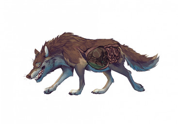 abdominal_bulge ambiguous_gender ambiguous_pred ambiguous_prey black_claws black_nose black_pawpads blue_eyes bodily_fluids brown_body brown_eyebrows brown_fur cheek_tuft claws curled_up duo eyebrows facial_tuft fangs feral feral_pred fluffy fluffy_tail fully_inside fur green_eyes grey_body grey_fur guts inner_ear_fluff internal intestines larger_pred markings multicolored_body multicolored_fur open_mouth oral_vore organs partially_submerged pawpads quadruped simple_background size_difference stomach_acid tail teeth tongue tuft vore walking white_background white_inner_ear_fluff white_paws memburu canid canine canis mammal wolf hi_res