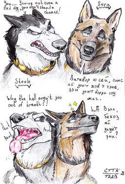 anthro breath competition dialogue duo exhausted feral male male/male panting rivalry smug text tired anxiousboar balto_(series) universal_studios steele_(balto) canid canine canis domestic_dog german_shepherd herding_dog husky mammal nordic_sled_dog pastoral_dog siberian_husky spitz absurd_res colored_pencil_(artwork) comic english_text hi_res sketch traditional_media_(artwork)