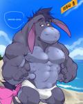 abs accessory anthro anthrofied beach biceps big_muscles biped bow_(feature) bow_accessory bow_ribbon bulge clothed clothing cloud detailed_background dialogue fur furgonomics grey_body grey_fur male muscular muscular_anthro muscular_male nipples outside pecs pink_bow plushie pose ribbons sand sea seaside sky solo speedo standing swimwear tail tail_accessory tail_bow tail_ribbon text topless water white_clothing white_speedo white_swimwear e-w01f disney winnie_the_pooh_(franchise) eeyore animate_inanimate asinus donkey equid equine living_plushie mammal 4:5 english_text hi_res