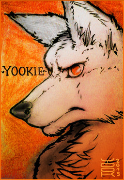 anthro black_nose cheek_tuft chest_tuft facial_tuft fur glistening glistening_eyes male orange_background orange_eyes simple_background solo tuft white_body white_ears white_fur white_inner_ear yookie canid canine mammal maned_wolf 2015 bust_portrait dated hi_res portrait restricted_palette signature