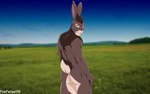 amber_eyes anthro biped butt detailed_background field fur looking_at_viewer male nude rear_view smile solo standing tail whiskers fabfelipe watership_down bigwig_(watership_down) hare lagomorph leporid mammal 16:10 2009 digital_media_(artwork) widescreen