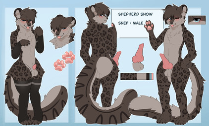 anthro arm_warmers armwear blue_eyes clothing femboy fur genitals legwear male markings multicolored_body penis solo spots spotted_body spotted_fur thigh_highs two_tone_body locknvt shepherdsnow felid mammal pantherine snow_leopard absurd_res hi_res model_sheet