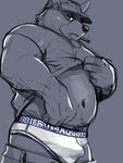 anthro belly bulge clothed clothing detailed_bulge erection erection_under_clothing hat headgear headwear humanoid_hands kemono male navel overweight overweight_anthro overweight_male shirt simple_background solo topwear underwear kita_9999 canid canine canis domestic_dog mammal 2020 3:4 absurd_res hi_res