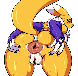 3_fingers anthro anus armwear armwear_only bent_over big_anus black_nose black_sclera blush bodily_fluids bridal_gauntlets bridal_gauntlets_only butt butt_focus clitoris clothing deep_skin dipstick_ears ear_markings female fingers fur genitals green_eyes hand_on_butt looking_at_viewer looking_back markings mostly_nude multicolored_body multicolored_ears multicolored_fur pink_anus plump_labia presenting presenting_anus puffy_anus raised_tail solo spread_anus spread_butt spreading sweat tail thick_thighs two_tone_body two_tone_fur vulva white_body white_fur wide_hips yellow_body yellow_fur lollipopcon bandai_namco digimon canid canine digimon_(species) mammal renamon aliasing digital_media_(artwork)