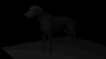 animal_genitalia black_background dots feral fully_sheathed genitals grey_sheath male novel paws pointillism sheath simple_background solo lavinahusky canid canine canis domestic_dog mammal 16:9 monochrome widescreen