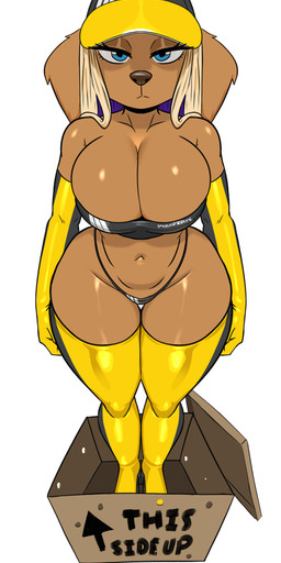 animal_ears anthro armwear big_breasts bikini biped black_clothing black_latex blonde_hair blue_eyes boots box breasts cardboard cardboard_box cleavage clothed clothing container elbow_gloves eyelashes female footwear front_view glistening glistening_body gloves hair handwear hat headgear headwear high_heeled_boots high_heels highlights_(coloring) latex latex_armwear latex_boots latex_clothing latex_elbow_gloves latex_footwear latex_gloves latex_handwear latex_legwear latex_thigh_boots latex_thigh_highs legwear long_hair looking_at_viewer multicolored_armwear multicolored_clothing multicolored_elbow_gloves multicolored_gloves multicolored_hair multicolored_handwear multicolored_legwear multicolored_thigh_boots multicolored_thigh_highs navel pupils purple_highlights shoes simple_background solo standing standing_at_attention swimwear thick_thighs thigh_boots thigh_highs thong two-piece_swimsuit two_tone_armwear two_tone_clothing two_tone_elbow_gloves two_tone_gloves two_tone_handwear two_tone_legwear two_tone_thigh_boots two_tone_thigh_highs underwear wide_hips yellow_latex seiiartworks kesha_valentine bird_dog canid canine canis domestic_dog hunting_dog labrador mammal retriever absurd_res hi_res