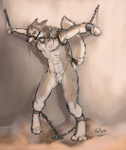 4_toes angry animal_genitalia anthro barefoot bdsm bondage bound chain chained collar cuff_(restraint) digitigrade fantasy feet forced fully_sheathed gag genitals hair long_hair male muzzle_(object) nude restrained restraints rope shackles sheath slave solo submissive submissive_male toes nakase caelum_(skythe) canid canine canis coyote mammal hi_res