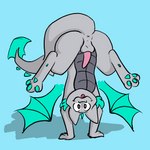 anthro anus backsack balls erection genitals handstand male membrane_(anatomy) membranous_wings non-mammal_balls pawpads penis solo tail tapering_penis wings dumderg mythology mysty_(dumderg) dragon mythological_creature mythological_scalie scalie 1:1