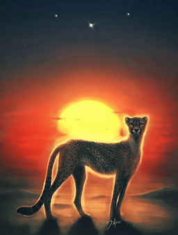 ambiguous_gender brown_eyes day feral fur markings outside paws sky solo spots spotted_body spotted_fur sun safiru cheetah felid feline mammal 2014 hi_res