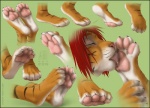 4_toes 5_fingers anthro auto_foot_lick black_stripes bodily_fluids breaking_the_fourth_wall claws close-up countershading eyes_closed feet feet_together fingers foot_against_foot foot_fetish foot_focus foot_lick foot_play fur green_background hair hindpaw humanoid_hands licking long_hair male multiple_poses orange_body orange_fur paw_frottage pawpads paws pink_nose plantigrade pose red_hair saliva self_lick short_hair simple_background solo striped_body striped_fur stripes text toe_claws toes tongue tongue_out whiskers zenthetiger joshua_(zenthetiger) felid mammal pantherine tiger 2012 model_sheet