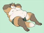 anthro belly belly_overhang belly_rolls bulge clothing detailed_bulge looking_at_viewer love_handles male moobs navel obese obese_anthro obese_male overweight overweight_anthro overweight_male simple_background solo thick_thighs underwear yasano guhreth canid canine fox mammal 2020