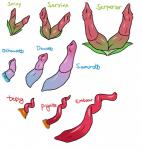 2_penises anatomically_correct animal_genitalia animal_penis cloaca cloacal_penis disembodied_penis erection feral genitals group hemipenes male multi_genitalia multi_penis penis penis_sheet porcine_penis starter_trio text romaine nintendo pokemon dewott emboar generation_5_pokemon mammal oshawott pignite pokemon_(species) reptile samurott scalie serperior servine snake snivy tepig digital_media_(artwork) english_text