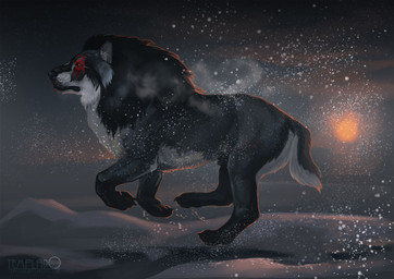 animal_genitalia barely_visible_genitalia barely_visible_sheath black_body black_fur breath claws dark feral fully_sheathed fur genitals male markings night outside red_markings running sheath side_view snow snowing solo sunrise white_body white_fur templado canid canine felid mammal tokota