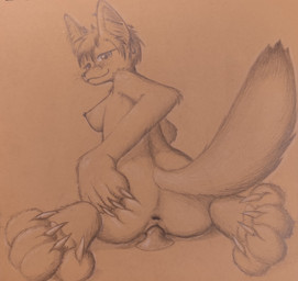 anthro breasts butt claws curling_toes dildo dildo_in_vagina dildo_insertion dildo_sitting ear_piercing feet female fluffy fluffy_tail fox_tail genitals humanoid_genitalia inner_ear_fluff medium_breasts nipple_piercing nipples paws penetration piercing sex_toy sex_toy_in_vagina sex_toy_insertion solo spread_butt spreading tail tuft vaginal vaginal_penetration loobylewds canid canine fennec_fox fox mammal true_fox absurd_res hi_res traditional_media_(artwork)