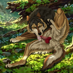 animal_genitalia animal_penis anus auto_penis_lick autofellatio balls black_nose bodily_fluids canine_genitalia canine_penis cum cum_in_mouth cum_in_own_mouth cum_in_self cum_inside erection feral fur genital_fluids genitals grass grey_body grey_fur knot knotted_penis licking male male_feral masturbation open_mouth oral oral_masturbation outside penile penile_masturbation penis plant rock self_lick sheath solo tan_balls tan_body tan_fur tongue yellow_eyes msdeadsoul taki_(taki-wolf) canid canine canis mammal wolf 1:1 hi_res