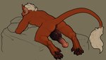 anthro athletic athletic_male balls bed bed_sheet bedding bedroom big_balls big_penis bodily_fluids brown_body brown_fur climbing_on focus_on_ass focus_on_penis fur furniture genital_fluids genitals horn male muscular muscular_male pawpads paws penis penis_backwards precum presenting presenting_balls presenting_pawpads presenting_penis solo whiskerdoodles felkin hi_res