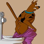 anthro anus assisted_exposure black_nose bottomwear bottomwear_down butt clothed clothing collar erect_tail flushed_down flushing_toilet male pants pants_being_undone pants_down pantsing partially_clothed purple_bottomwear purple_clothing purple_pants solo tail toilet bob-jiggles cartoon_network hanna-barbera scooby-doo_(series) scooby-doo canid canine canis domestic_dog great_dane mammal mastiff molosser 1:1 absurd_res hi_res