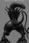 2017 2:3 alien alien_(franchise) anus butt female genitals hi_res monochrome nihilophant not_furry presenting presenting_hindquarters pussy rear_view simple_background solo xenomorph