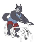 anthro bicycle bottomwear clothed clothing cycling male shirt shorts solo tank_top topwear vehicle shibacream adastra adastra_(series) echo_project amicus_(adastra) canid canine canis mammal wolf hi_res