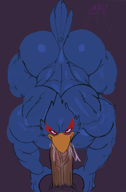 all_fours anthro back_muscles balls barazoku beak big_butt big_muscles blue_body blue_feathers butt duo erection feathers fellatio first_person_view genitals high-angle_view huge_muscles male male/male muscular muscular_anthro muscular_arms muscular_male nude_anthro nude_male oral penile penis sex simple_background tail tail_feathers vein veiny_penis yellow_beak freeposers_(artist) nintendo star_fox falco_lombardi avian bird 2026 colored_sketch digital_drawing_(artwork) digital_media_(artwork) english_description hi_res sketch