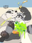 4_fingers 4_toes anthro black_body black_nose blush carrying_another clothing cute_fangs duo fangs feet fingers grey_body kemono male shirt size_difference teeth text toes topwear underwear white_body ginnosuke badger mammal mustelid musteline procyonid raccoon 2025 absurd_res comic cover hi_res japanese_text