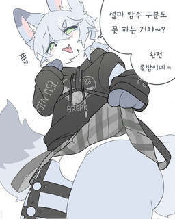 anthro blue_body blue_fur blue_hair blush bottomwear bulge clothed clothing dialogue fluffy fluffy_tail fur green_eyes hair hoodie inner_ear_fluff laugh laughing_at_viewer looking_at_viewer male multicolored_body multicolored_fur open_mouth presenting_underwear profanity simple_background skirt smile solo speech_bubble tail text topwear tuft underwear white_background white_body white_fur retto_812 kari_(kari_aka_jack) canid canine fox mammal 2026 hi_res korean_text translation_request