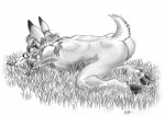 anthro breasts female grass hooves nude plant raised_tail side_boob solo tail darkwolfie deer mammal greyscale monochrome