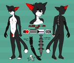 anthro demisexual_pride_colors hetero_pride_colors lgbt_pride male pride_colors solo straight_pride_colors lemonpuff claus_(timmy_rap_1o1) domestic_cat felid feline felis humanoid mammal tuxedo_cat 2024 digital_media_(artwork) hi_res model_sheet