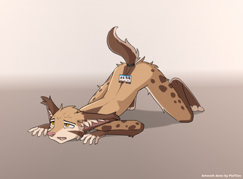 anthro ass_up brown_body brown_fur female fingerless_(marking) fingerless_gloves_(marking) fur gloves_(marking) grey_background looking_up markings on_ground sign simple_background slave solo spots spotted_body spotted_fur submissive submissive_female suggestive_pose yellow_eyes pintino catherine_(pintino) felid feline lynx mammal 2025 digital_media_(artwork) hi_res