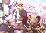 age_difference anthro bicycle breath cherry_blossom cherry_petal clothed clothing duo eyewear flower fur glasses hair male plant prunus_(flower) tail vehicle young young_anthro kinoshita-jiroh canid canine canis felid mammal pantherine tiger wolf detailed hi_res