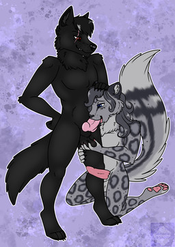 anthro ball_fondling balls dominant dominant_male duo eye_scar facial_scar fellatio fondling foreskin genitals hand_on_head hugging_leg knot leopard_spots male male/male oral penile penis scar sex spots submissive submissive_male arwenscoots conditional_dnp canid canine canis felid mammal pantherine snow_leopard wolf hi_res
