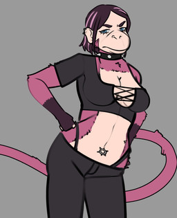 alternative_fashion anthro blue_eyes bottomwear breasts cleavage clothed clothing collar crop_top ear_piercing ear_ring female fur goth grey_background hair hand_on_hip medium_breasts midriff navel navel_piercing pants piercing purple_body purple_fur purple_hair ring_piercing shirt short_hair simple_background solo spiked_collar spikes standing tail thong thong_straps topwear underwear zoodis magdalene_(redustheriotact) haplorhine mammal monkey primate 2026 absurd_res hi_res
