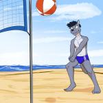 anthro ball beach bulge clothed clothing male navel net seaside solo speedo sport swimwear topless volleyball volleyball_(ball) volleyball_net fuze raul_(fuze) mammal mustelid otter 1:1 hi_res