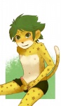 anthro balls biped erection genitals green_eyes green_hair hair looking_at_viewer male mascot nude penis short_hair simple_background solo tail white_background unknown_artist zakumi felid leopard mammal pantherine 2010