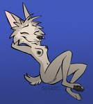 anthro areola big_ears blue_background breasts eyes_closed female fur genitals grey_body grey_fur humanoid_genitalia lying navel nipples nude pawpads pussy simple_background slim small_waist smile solo tail serareldeer hazel_(serarel) canid canine canis mammal wolf