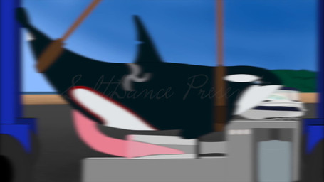 animal_genitalia animal_penis bdsm big_penis bodily_fluids bondage bound cetacean_genitalia cetacean_penis cum cum_drip dorsal_fin dripping erection feral fin flippers genital_fluids genitals harness long_penis machine male masturbation milking_cum milking_machine penile penile_masturbation penis penis_milking penis_milking_machine pink_penis precum precum_drip restrained restraints restricted rope rope_bondage rope_harness sea tapering_penis throbbing throbbing_penis water saltdance sound_warning aquatic cetacean dolphin mammal oceanic_dolphin orca toothed_whale whale 16:9 2d_animation 4k absurd_res animated hi_res short_playtime sound traditional_media_(artwork) video widescreen