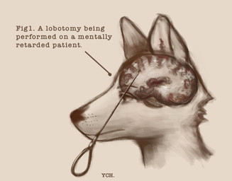 ableist_slur anthro anthro_penetrated brain ears_up fur lobotomy male organs penetration slur solo text reynard_goodfellow ych_(character) canid canine canis mammal wolf english_text hi_res monochrome
