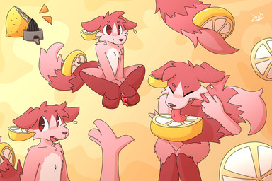 anthro eyes_closed floppy_ears food fruit fur fur_markings hair lemon licking looking_at_viewer male markings name_tag nude pawpads plant red_body red_eyes simple_background sitting smile solo tail text tongue conditional_dnp joxh citrus_(mintcashew) bird_dog canid canine canis domestic_dog hunting_dog mammal 3:2 artist_name collage_(artwork) digital_media_(artwork) hi_res mixed_media multiple_scenes shaded