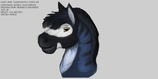 ambiguous_gender anthro black_body black_fur black_fur_markings black_hair black_mane black_nose blue_body blue_fur blue_hair character_description fur hair looking_at_viewer mane side_view solo striped_body striped_fur stripes text wolfywetfurr_(artist) jessika_silktongue equid equine horse mammal 2:1 concept_art english_text sketch