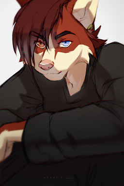 anthro black_clothing black_eyebrows black_shirt black_topwear blue_eyes cheek_tuft clothing ear_piercing eyebrows facial_tuft fur hair heterochromia looking_at_viewer male monotone_hair multicolored_body multicolored_fur orange_eyes piercing pink_nose red_body red_fur red_hair shirt short_hair simple_background snout solo tan_body tan_fur topwear tuft two_tone_body two_tone_fur white_background azzai kallik_(enigmasyndrome) canid canine canis domestic_dog husky mammal nordic_sled_dog spitz 2022 2:3 colored colored_sketch digital_drawing_(artwork) digital_media_(artwork) shaded sketch