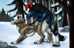 anal anal_penetration animal_genitalia animal_pussy antlers balls black_body black_fur black_nose black_pawpads blue_balls blue_body blue_fur blue_sky bodily_fluids brown_body brown_fur canine_genitalia canine_pussy christmas_clothing christmas_headwear clothing cum cum_in_ass cum_inside cum_on_pussy cum_string duo erection fangs female female_penetrated feral feral_on_feral feral_penetrated feral_penetrating feral_penetrating_feral from_behind_position fur genital_fluids genitals hat headgear headwear holidays horn knot looking_pleasured male male/female male_penetrating male_penetrating_female pawpads penetration penile penile_penetration penis_in_ass plant pussy rock santa_hat sex side_view sky smile teeth tree white_antlers white_body white_fur killthe_demon christmas canid canine mammal hi_res