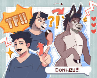 abstract_background before_and_after clothed clothing convenient_censorship feral fur fur_growth growth hair heart_symbol hoof_growth loss_of_dexterity male mid_transformation nude open_mouth pattern_background simple_background snout snout_growth solo speech_bubble text transformation transformation_sequence fresasbolita asinus donkey equid equine human mammal english_text hi_res