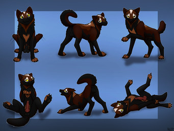 animal_genitalia animal_penis balls black_body black_fur black_nose brown_body brown_fur butt canine_genitalia canine_penis erection feral fur genitals head_markings knot looking_at_viewer male markings narrowed_eyes needy nude open_mouth penile penis presenting presenting_hindquarters quadruped seductive sheath simple_background solo tail teasing conditional_dnp heliofox salm canid canine canis domestic_dog mammal wolf 4:3 absurd_res digital_media_(artwork) hi_res multiple_images