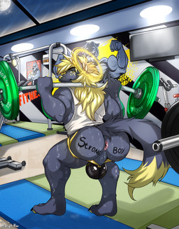 anal anthro anus athletic_wear bulge butt clothing exercise gym halo jockstrap male muscular muscular_anthro public rear_view solo underwear weightlifting workout midnight_blue canid canine canis jackal mammal absurd_res hi_res