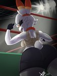 3:4 absurd_res anthro anthrofied breasts butt clothed clothing female fighting_ring fingerless_gloves generation_8_pokemon gloves handwear hi_res lagomorph low-angle_view mammal nintendo pokemon pokemon_(species) rear_view scorbunny solo xerlexer