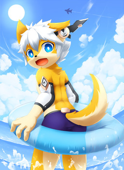 aircraft airplane beach blue_eyes clothed clothing inflatable inner_tube looking_at_viewer looking_back male open_mouth seaside solo sun topless vehicle young rann canid canine mammal 2016 hi_res
