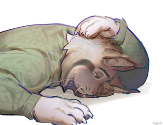 anthro clothing expressionless green_clothing green_sweater green_topwear hand_on_head lying male mouth_closed on_front simple_background solo sweater topwear white_background typpicle disney zootopia pawbert_lynxley canada_lynx felid feline lynx mammal hi_res signature