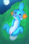 blush bodily_fluids female feral genitals moon presenting pussy reflection solo spreading water jakuya_art nintendo pokemon generation_3_pokemon mudkip pokemon_(species) 2:3 absurd_res hi_res