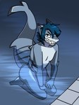 anthro bared_teeth blue_hair clenched_teeth dorsal_fin fin grey_body hair hands_on_legs kneeling male nude pool poolside smile solo stripes tail teeth teeth_showing water deerkid kyle_r._fish fish marine shark 3:4 absurd_res hi_res